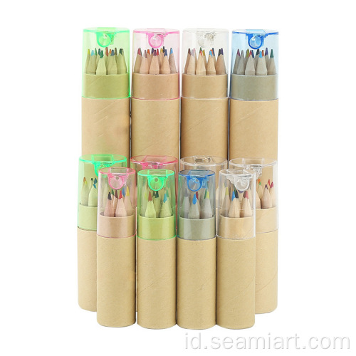 12colors anak -anak warna pensil kraft kotak tabung kertas